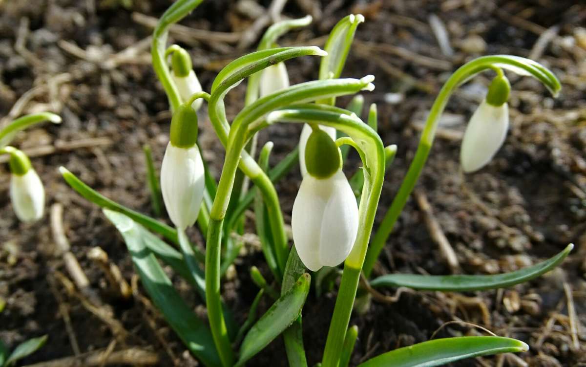 ������ ����������� � ���������. ����� �������� �������� �� PhotoGeek.ru #������ ��� �������