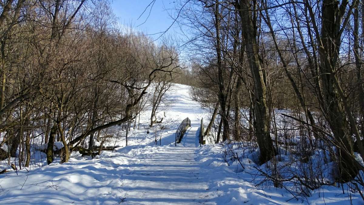 ������ � �����. ����� �������� �������� �� PhotoGeek.ru #������ ��� �������