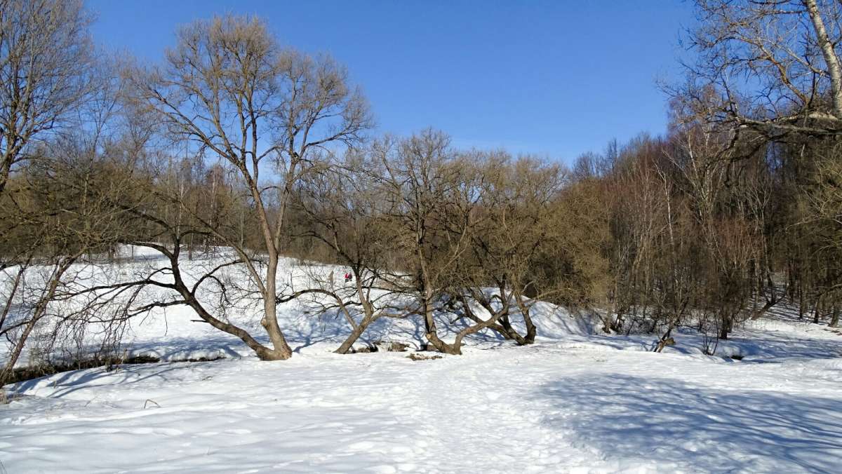 ��������� ���� � �����. ����� �������� �������� �� PhotoGeek.ru #������ ��� �������