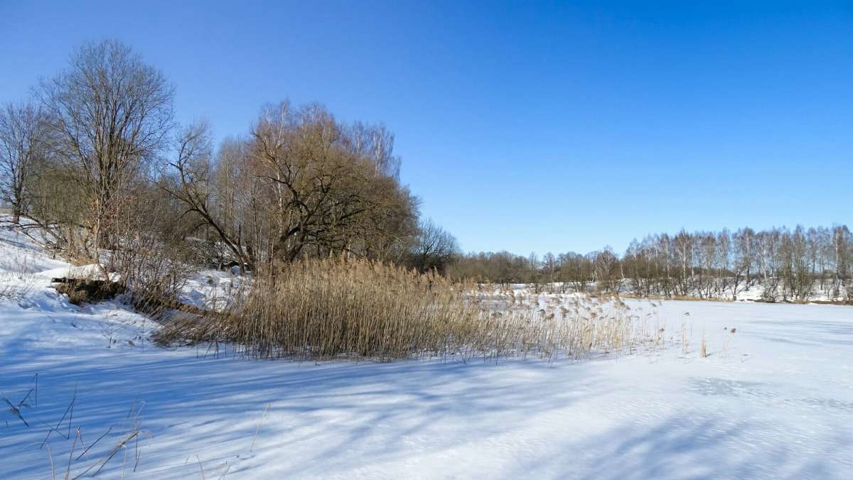 ����� - ����. ����� �������� �������� �� PhotoGeek.ru #������ ��� �������