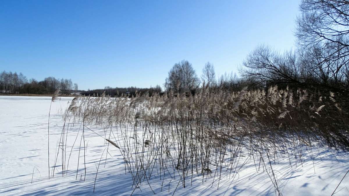 ������. ����� �������� �������� �� PhotoGeek.ru #������ ��� �������