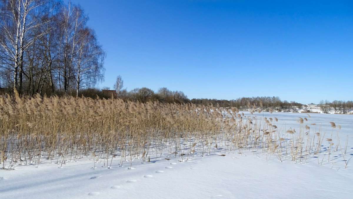 �����. ����� �������� �������� �� PhotoGeek.ru #������ ��� �������