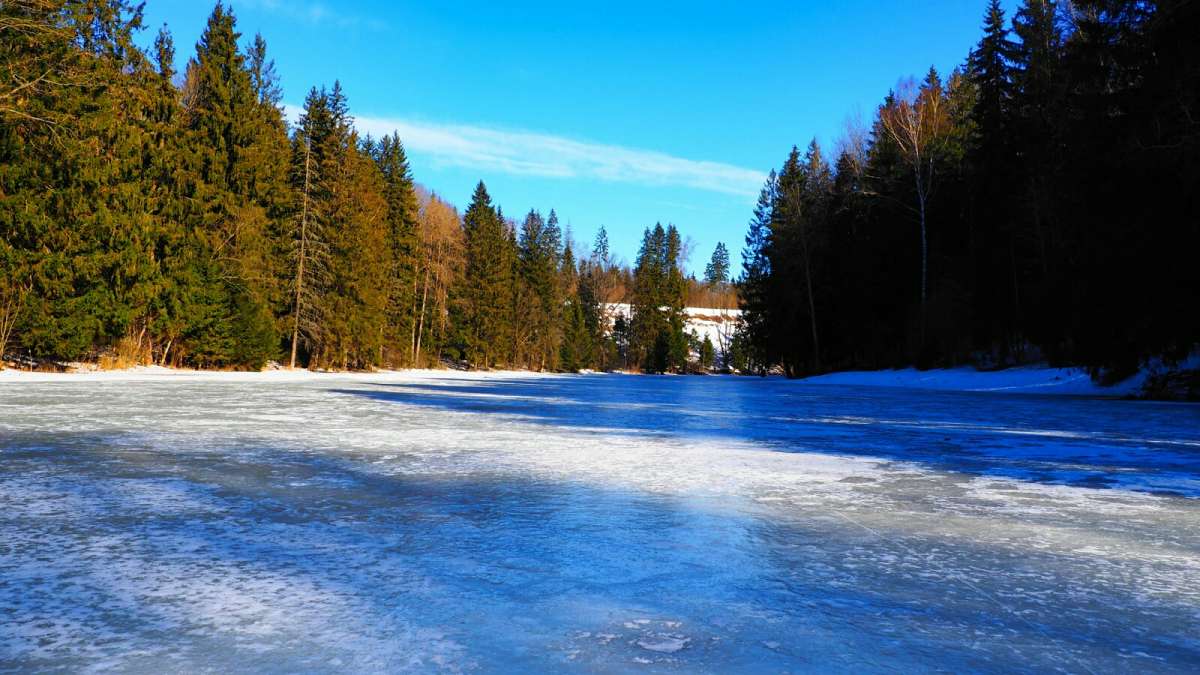 �������� �����. ����� �������� �������� �� PhotoGeek.ru #������ ��� �������