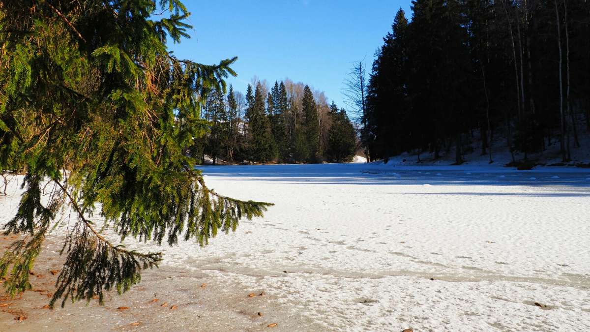 ����� - ����. ����� �������� �������� �� PhotoGeek.ru #������ ��� �������