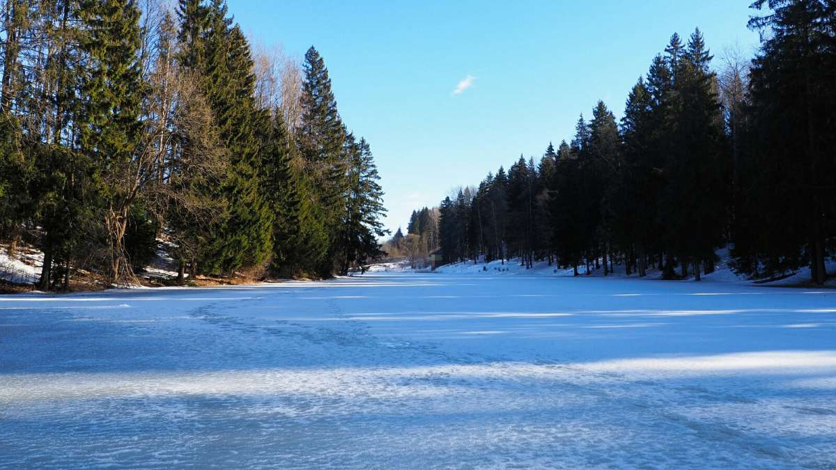 ��� ����. ����� �������� �������� �� PhotoGeek.ru #������ ��� �������