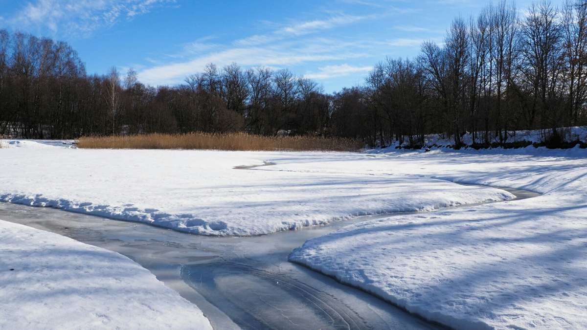 ������ ������ ����� �����. ����� �������� �������� �� PhotoGeek.ru #������ ��� �������