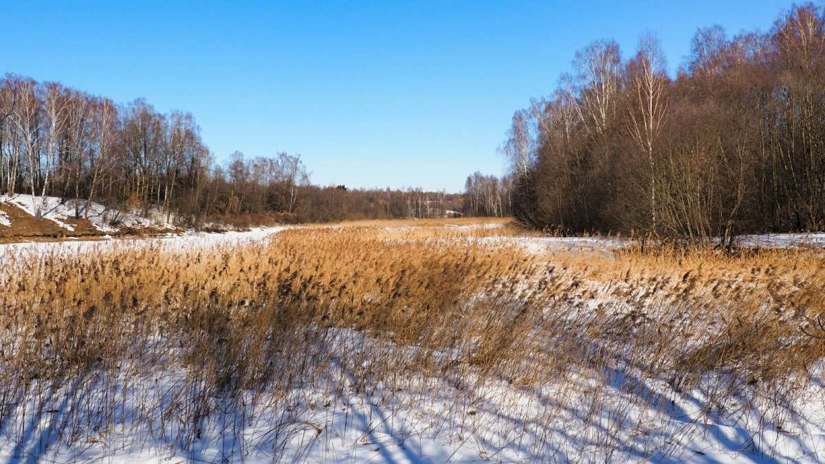 ������� ������� ������. ����� �������� �������� �� PhotoGeek.ru #������ ��� �������