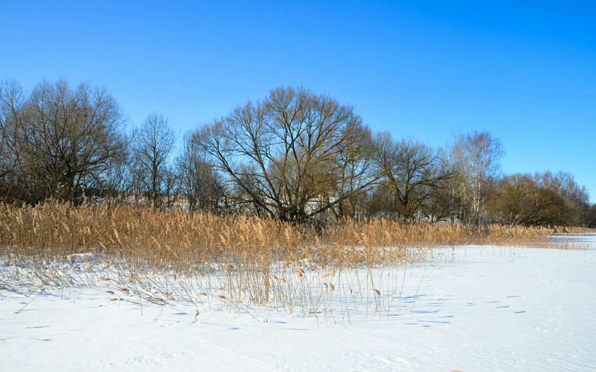 ������ ������. ����� �������� �������� �� PhotoGeek.ru #������ ��� �������