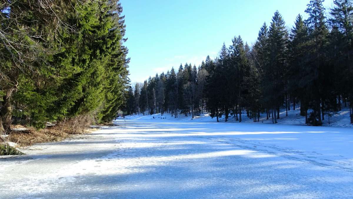 ����� �� ����������. ����� �������� �������� �� PhotoGeek.ru #������ ��� �������