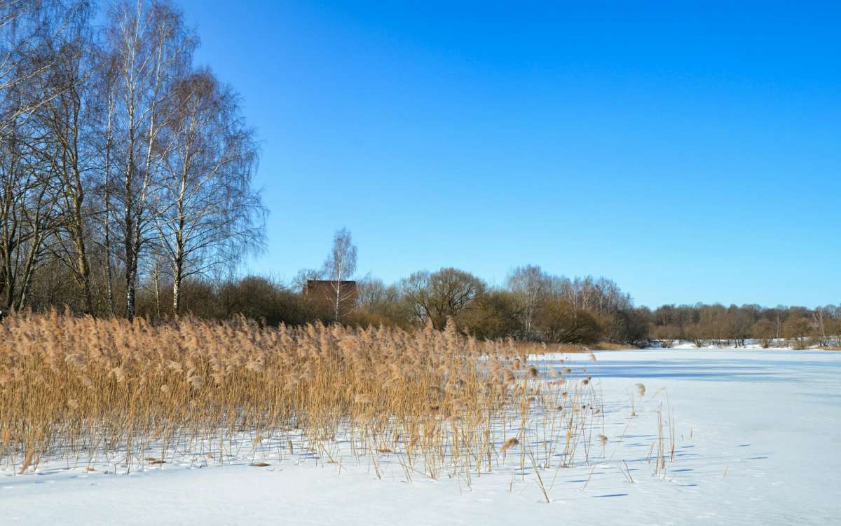 ���������� �����. ����� �������� �������� �� PhotoGeek.ru #������ ��� �������