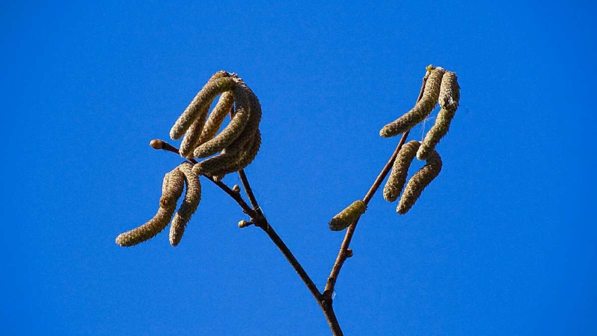 �������� �����. ����� �������� �������� �� PhotoGeek.ru #������ ��� �������