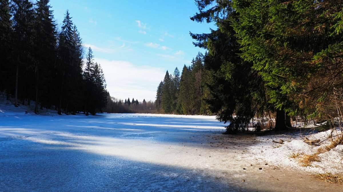 ����� - ���� ����� �������� �������� �� PhotoGeek.ru #������ ��� �������