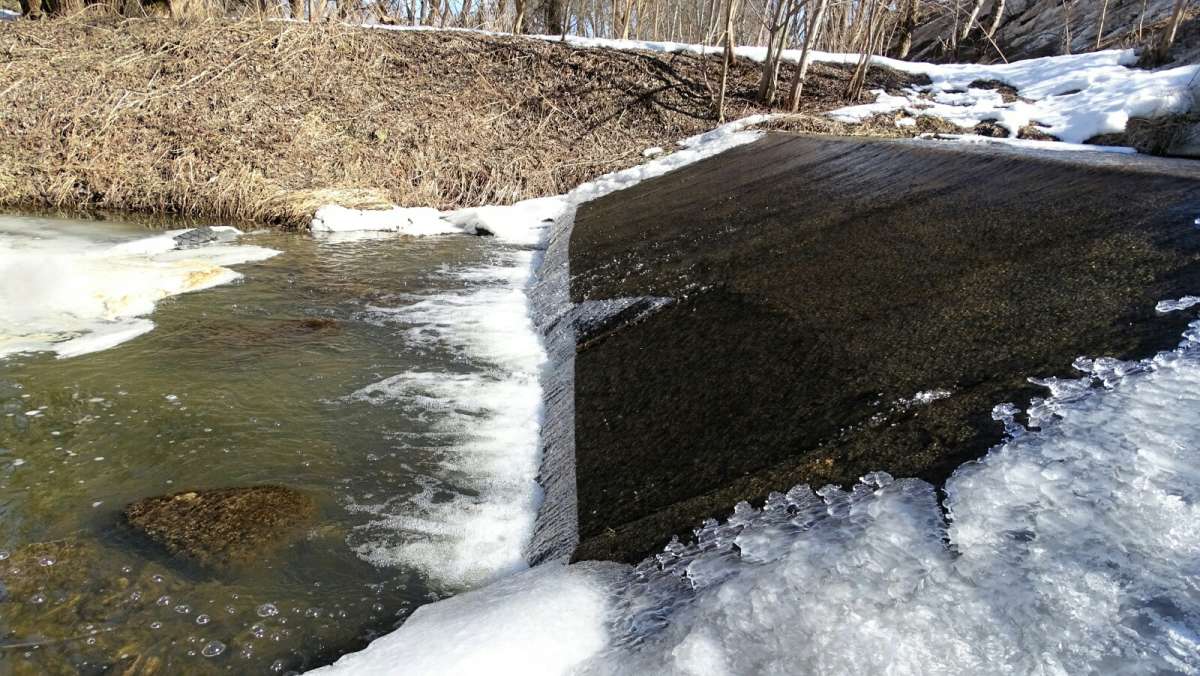 ����������� ����� ����� ����. ����� �������� �������� �� PhotoGeek.ru #������ ��� �������