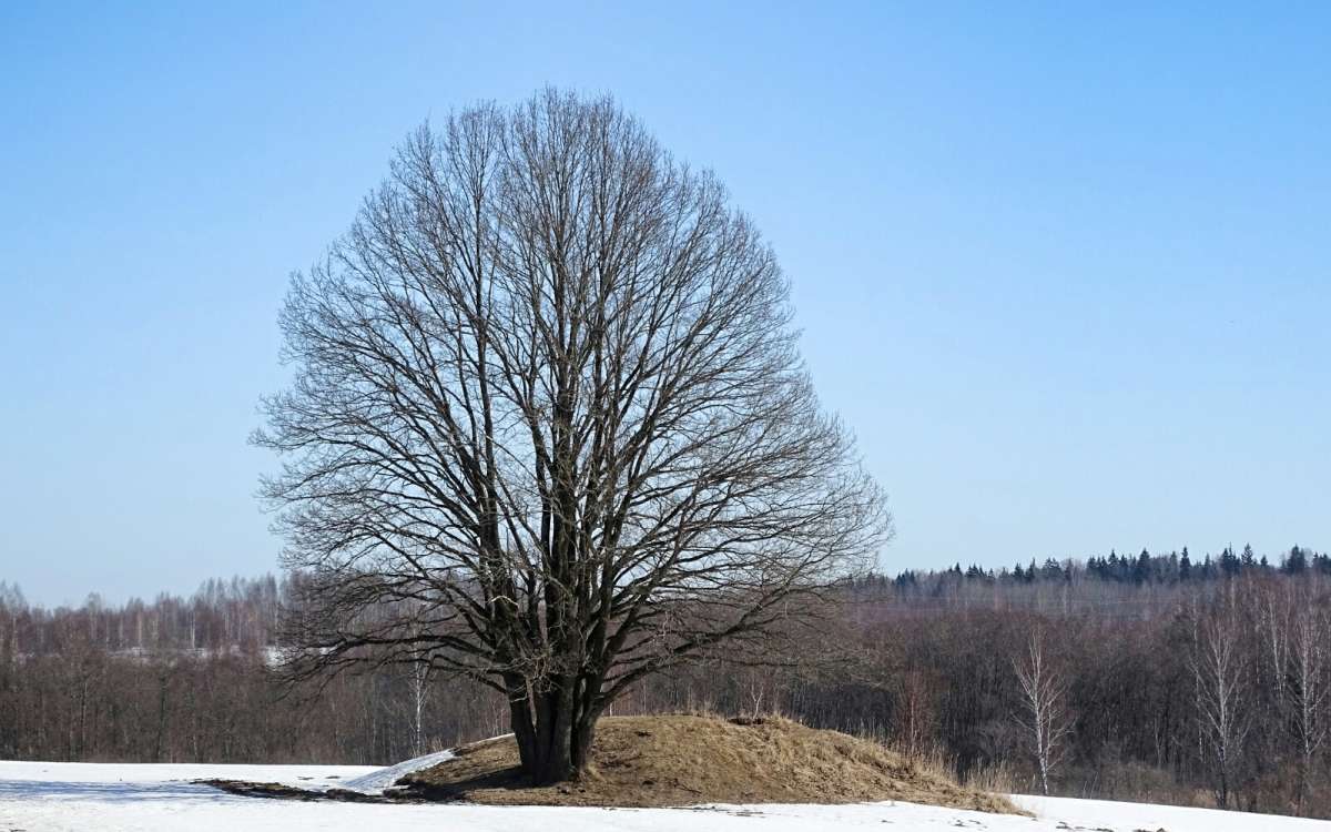 ��� ������. ����� �������� �������� �� PhotoGeek.ru #������ ��� �������