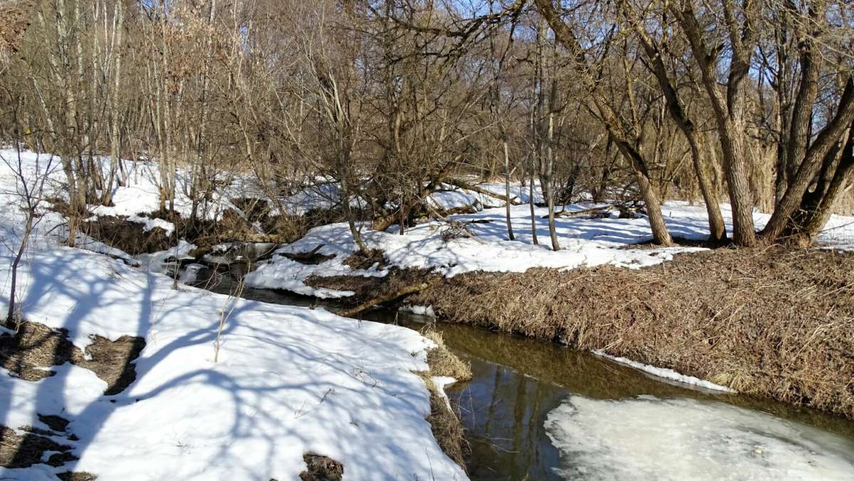 ������ �����. ����� �������� �������� �� PhotoGeek.ru #������ ��� �������