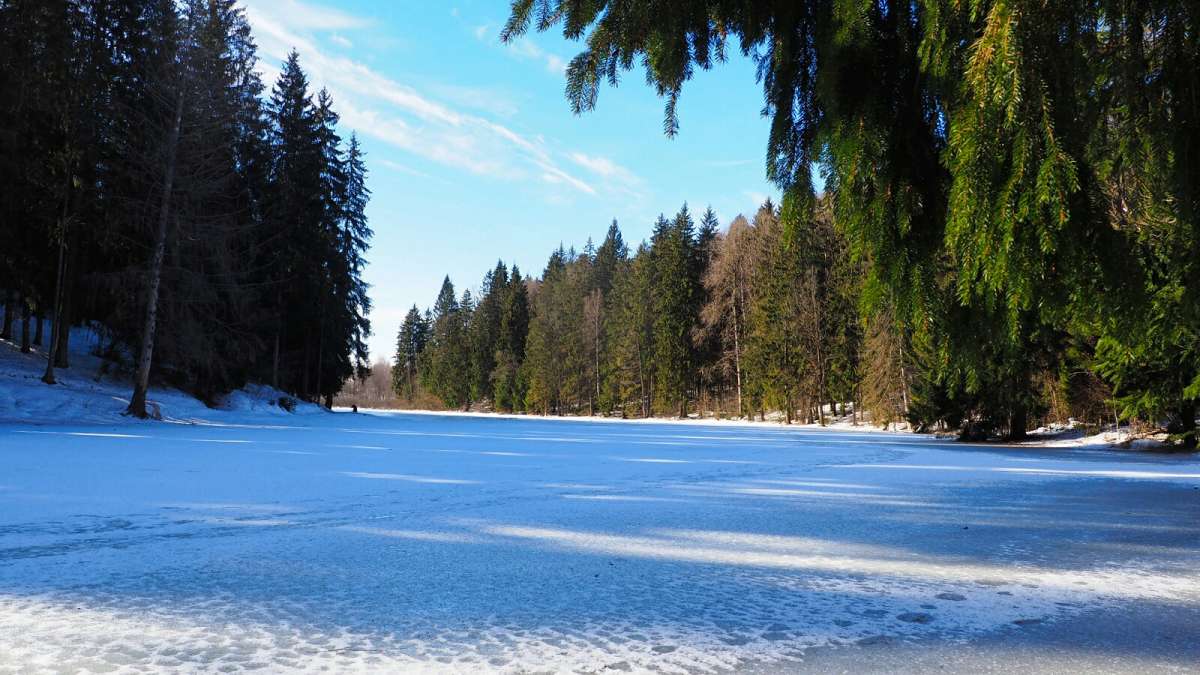 ��� ����. ����� �������� �������� �� PhotoGeek.ru #������ ��� �������