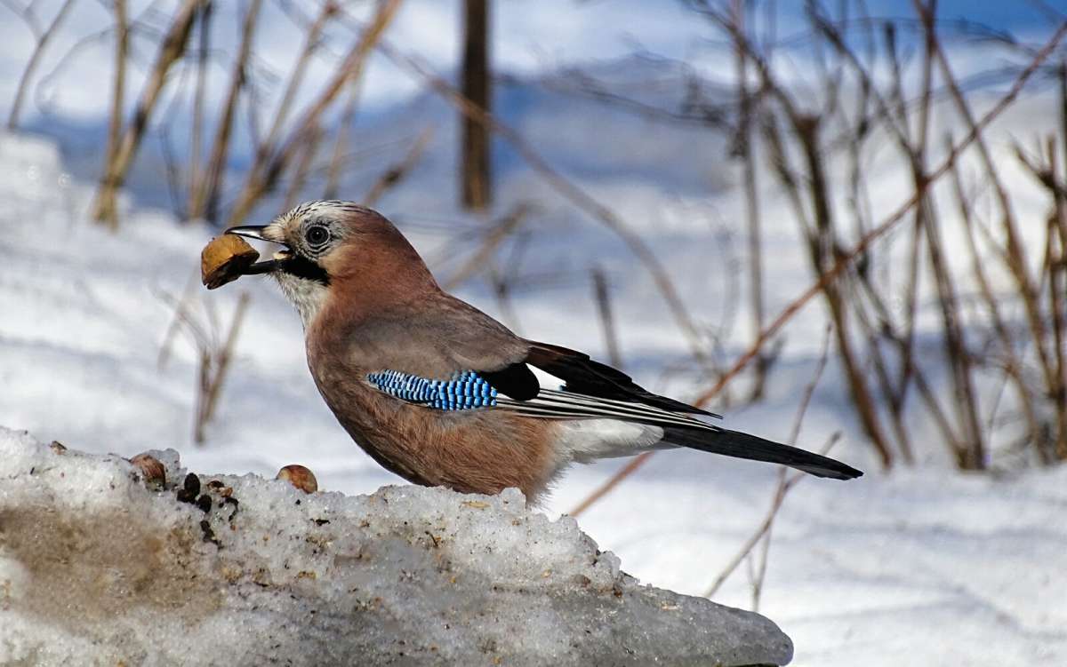 �������� �����. ����� �������� �������� �� PhotoGeek.ru #����� #�������� ���