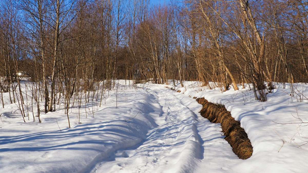 ����� - ����. ����� �������� �������� �� PhotoGeek.ru #������ ��� �������