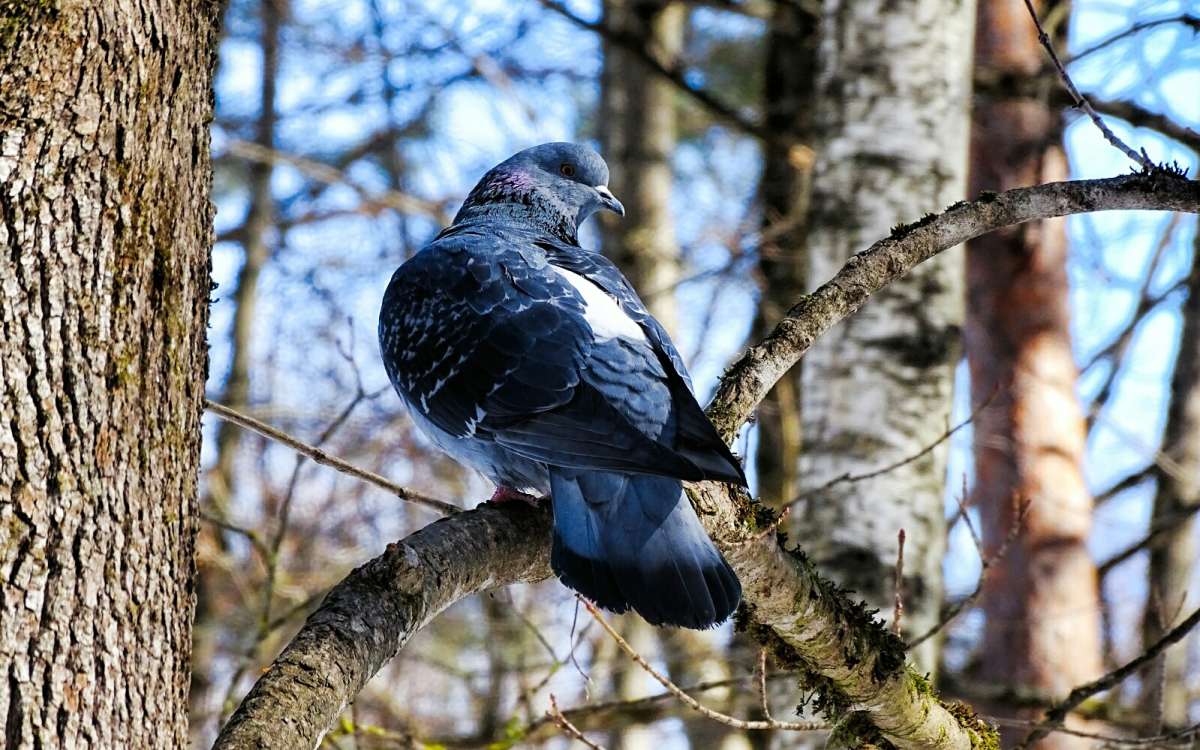 �� ��������� ����������! ����� �������� �������� �� PhotoGeek.ru #����� #�������� ���