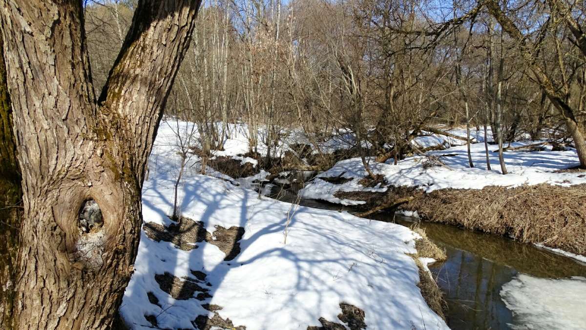 �����. ����� �������� �������� �� PhotoGeek.ru #������ ��� �������