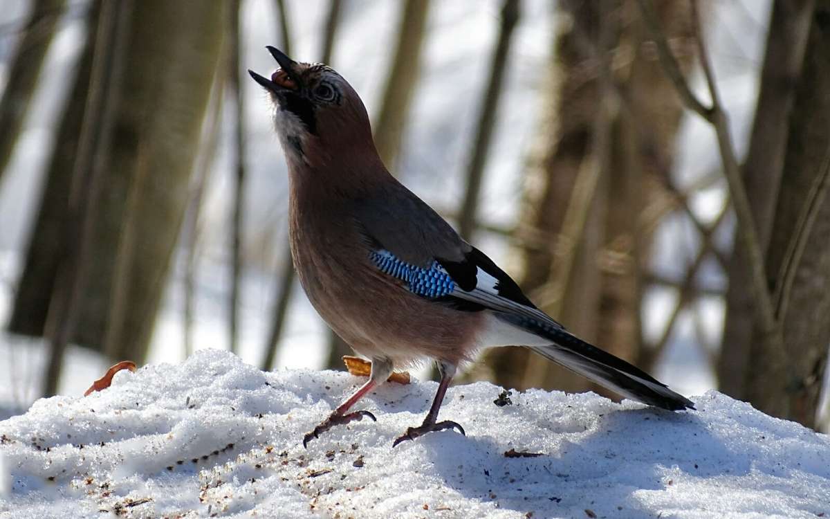 ����� � ������. ����� �������� �������� �� PhotoGeek.ru #�������� ���