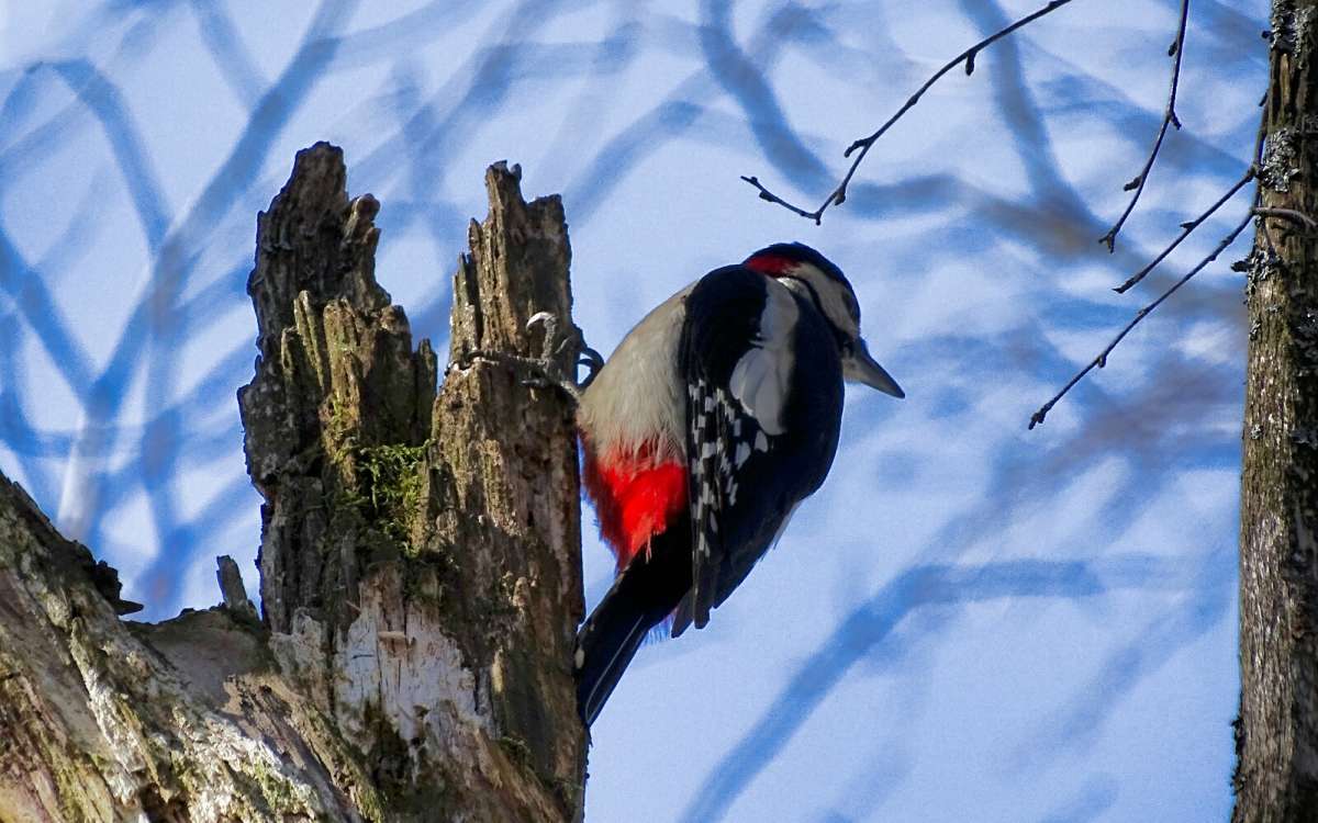 �� ����� ������. ����� �������� �������� �� PhotoGeek.ru #����� #�������� ���