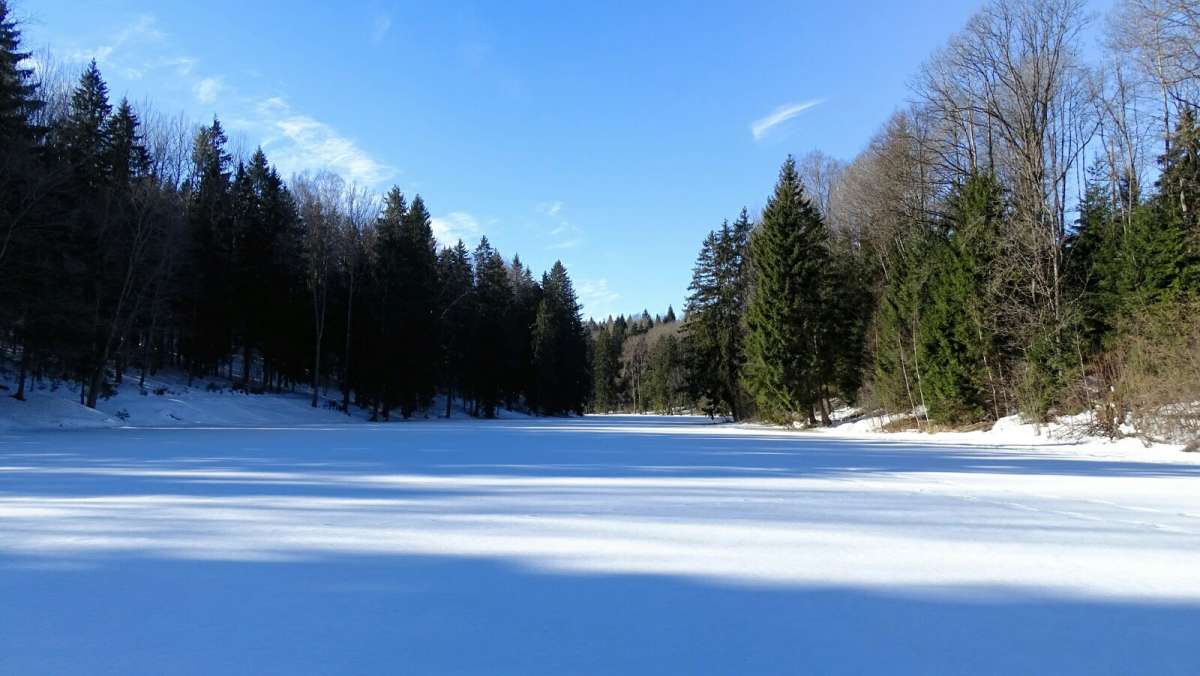 ��� ����. ����� �������� �������� �� PhotoGeek.ru #������ ��� �������