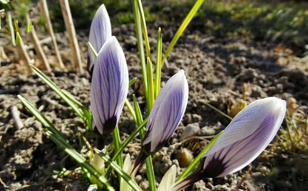 �������. ����� �������� �������� �� PhotoGeek.ru #����� #������ ��� �������