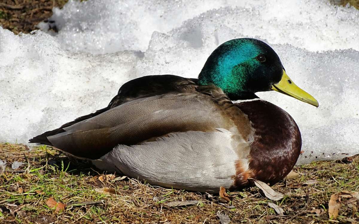 �������� �� ��������. ����� �������� �������� �� PhotoGeek.ru #����� #�������� ���