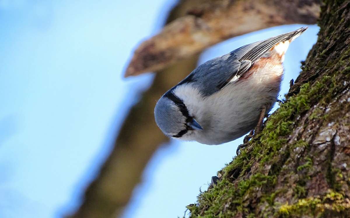 ��������� ���������. ����� �������� �������� �� PhotoGeek.ru #����� #�������� ���