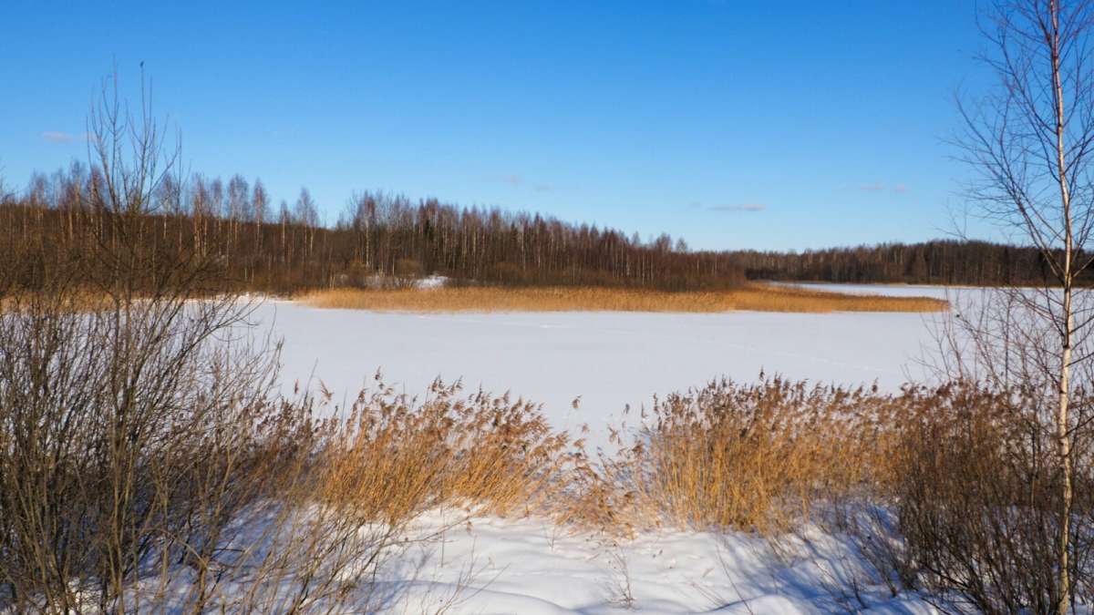 � �������� ����. ����� �������� �������� �� PhotoGeek.ru #������ ��� �������