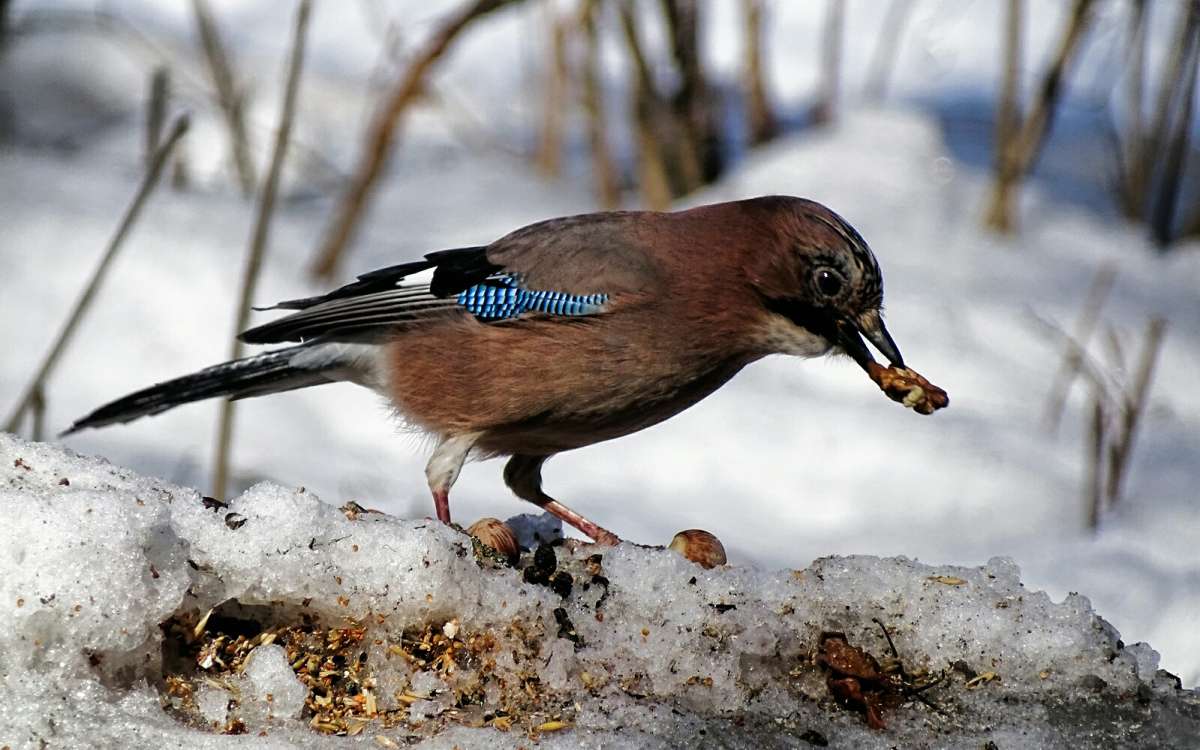 ����� � ������� ������. ����� �������� �������� �� PhotoGeek.ru #����� #�������� ���