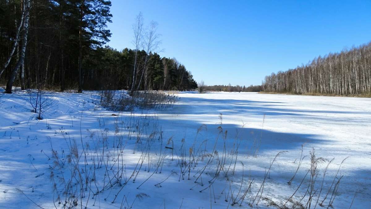 ����� �� ����������. ����� �������� �������� �� PhotoGeek.ru #������ ��� �������