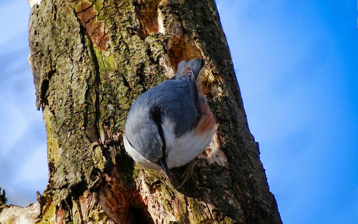 ���������. ����� �������� �������� �� PhotoGeek.ru #����� #�������� ���