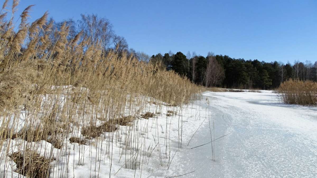 ������ �����. ����� �������� �������� �� PhotoGeek.ru #������ ��� �������