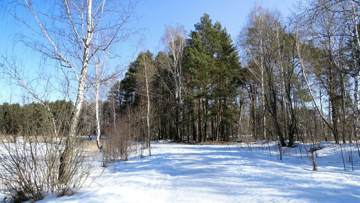 ����� - ����. ����� �������� �������� �� PhotoGeek.ru #������ ��� �������