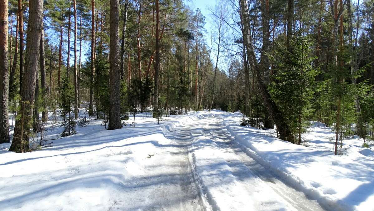 � �������� ����. ����� �������� �������� �� PhotoGeek.ru #������ ��� �������