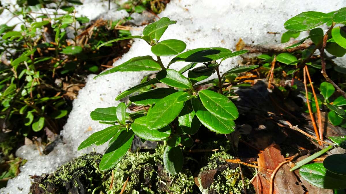 ����. ����� �������� �������� �� PhotoGeek.ru #������ ��� �������