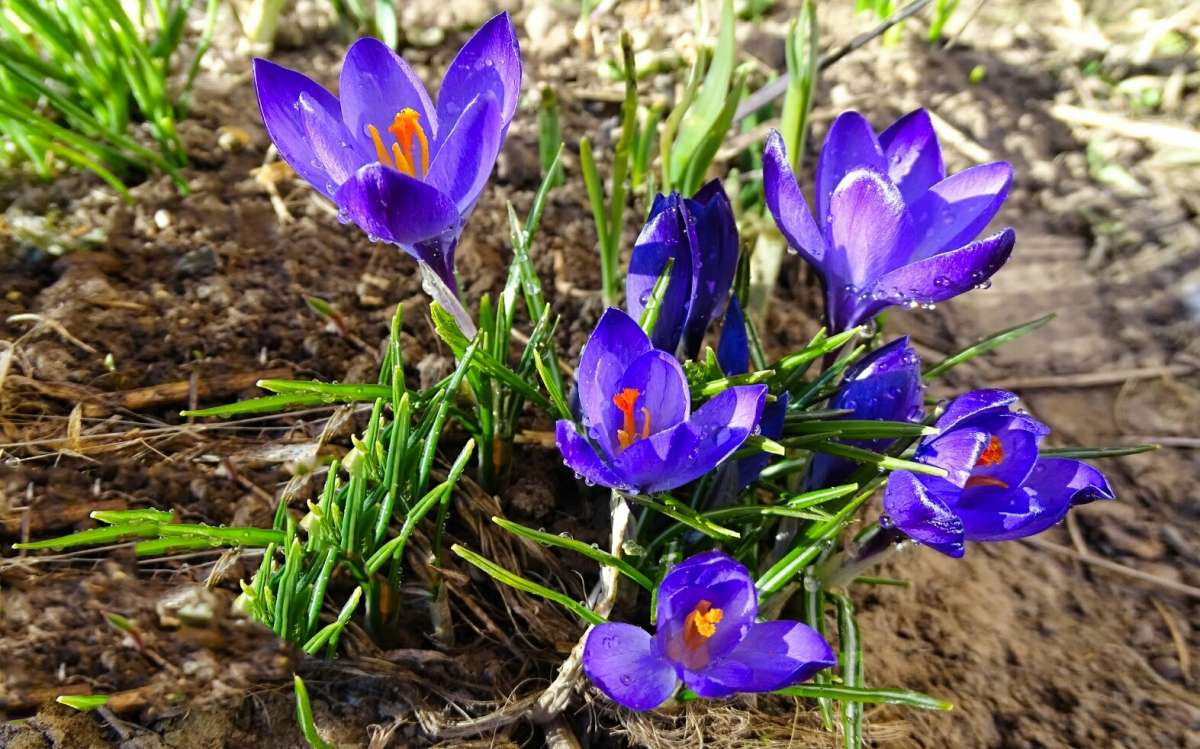 �������. ����� �������� �������� �� PhotoGeek.ru #����� #������ ��� �������