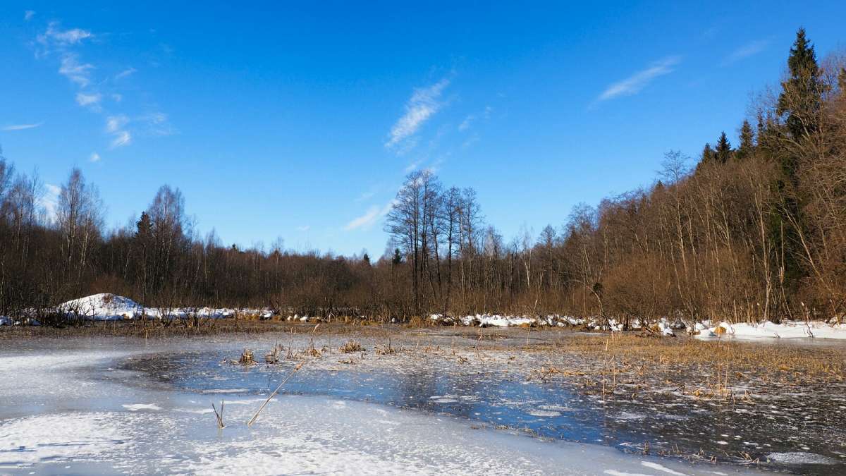 ��� ����. ����� �������� �������� �� PhotoGeek.ru #������ ��� �������