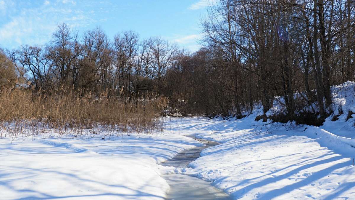 ����. ����� �������� �������� �� PhotoGeek.ru #������ ��� �������