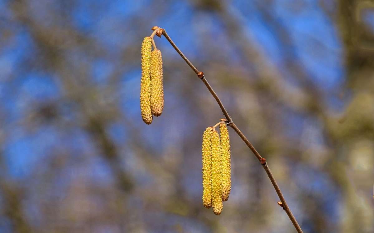 �������� �����. ����� �������� �������� �� PhotoGeek.ru #������ ��� �������