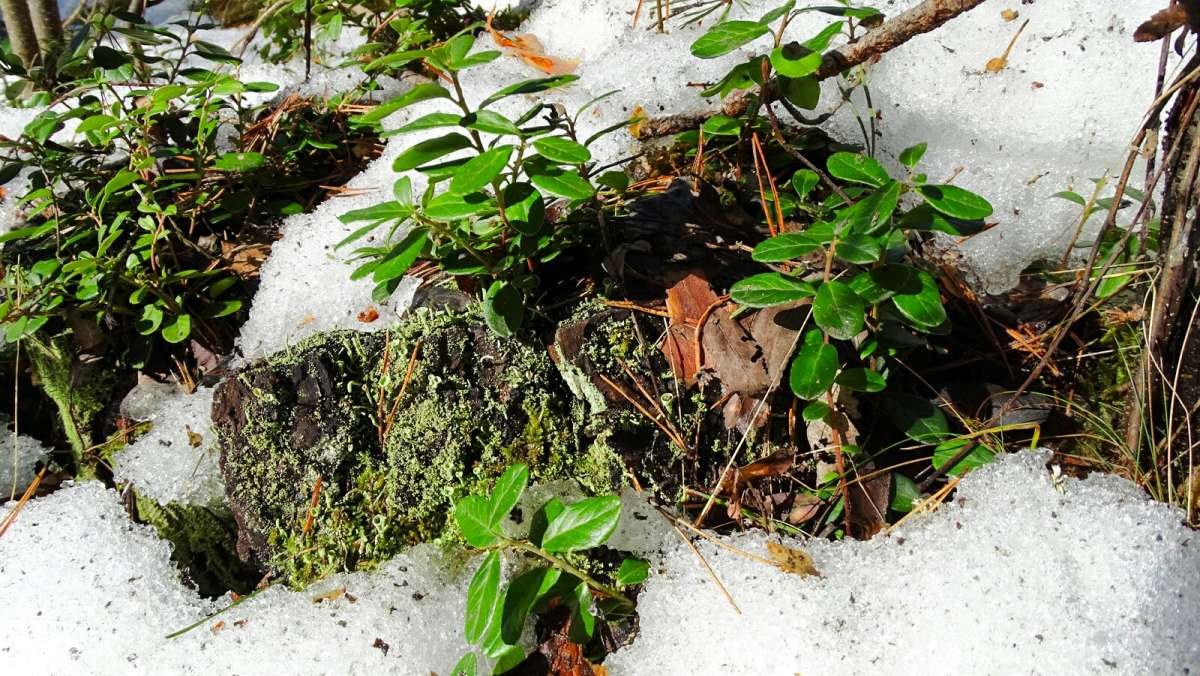 �����. ����� �������� �������� �� PhotoGeek.ru #������ ��� �������