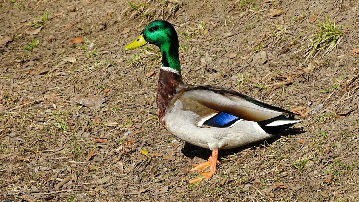 �������� � ������� ����. ����� �������� �������� �� PhotoGeek.ru #����� #�������� ���