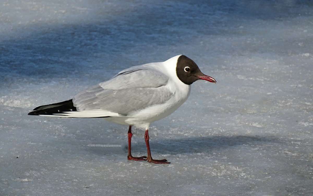 ����� ��������� ����� �������. ����� �������� �������� �� PhotoGeek.ru #����� #�������� ���