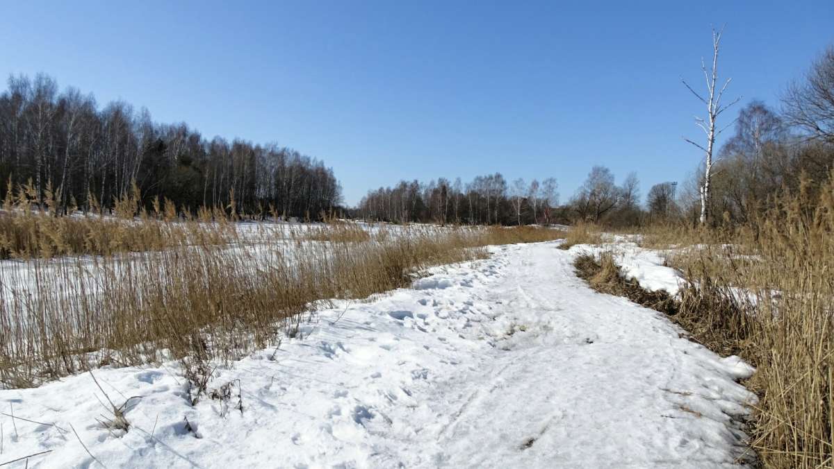 ����� �� ����������. ����� �������� �������� �� PhotoGeek.ru #������ ��� �������