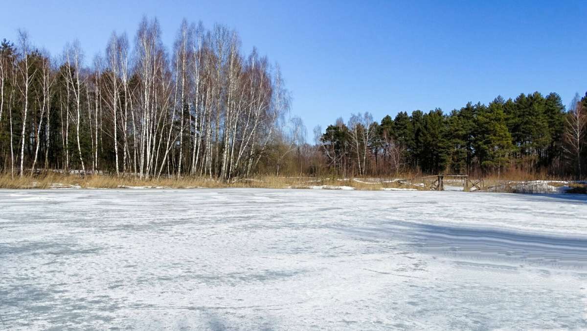 � ��������� ���������. ����� �������� �������� �� PhotoGeek.ru #������ ��� �������