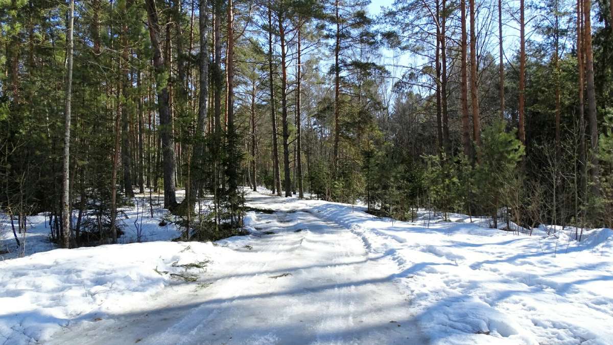 �������� ���. ����� �������� �������� �� PhotoGeek.ru #������ ��� �������