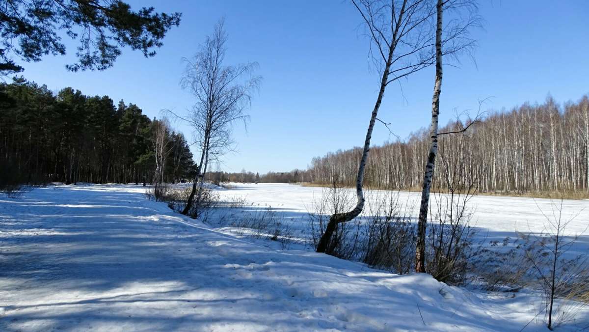 ��������� ����� �� ������ ����� �� ������� ������. ����� �������� �������� �� PhotoGeek.ru #������ ��� �������