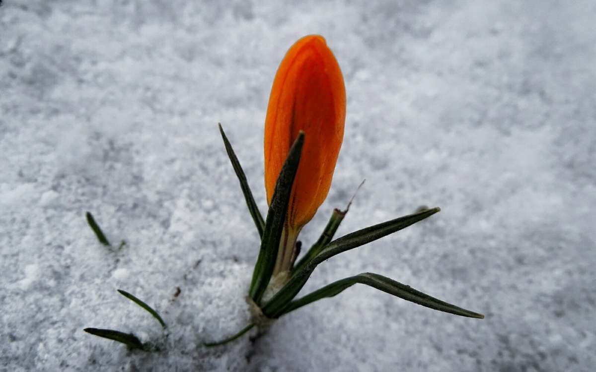 ������ � ����� ����� �����������. ����� �������� �������� �� PhotoGeek.ru #������ ��� �������